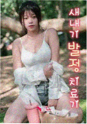 葬送的芙莉莲 0855影视剧大全